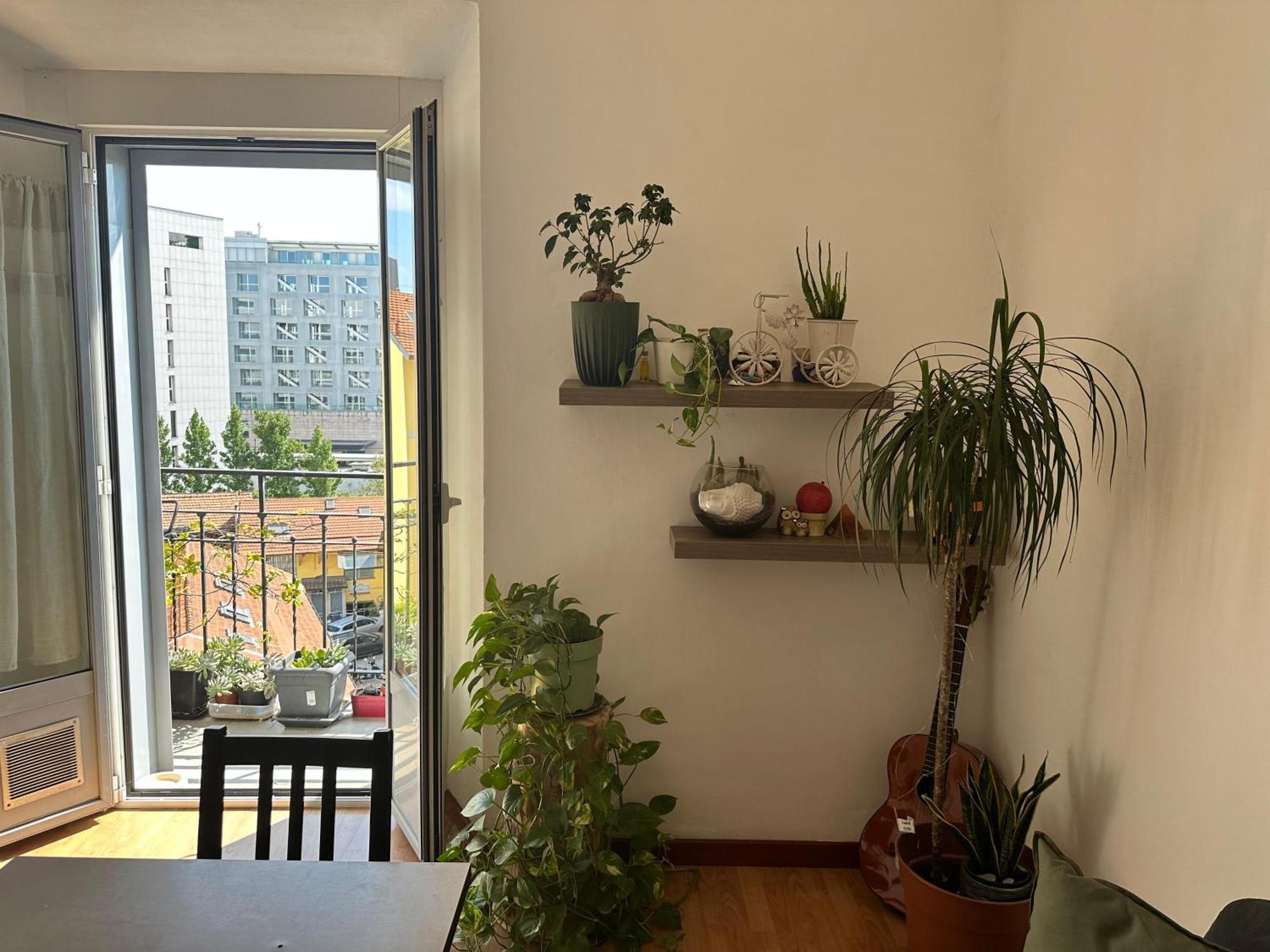 Molis'S House, Milan