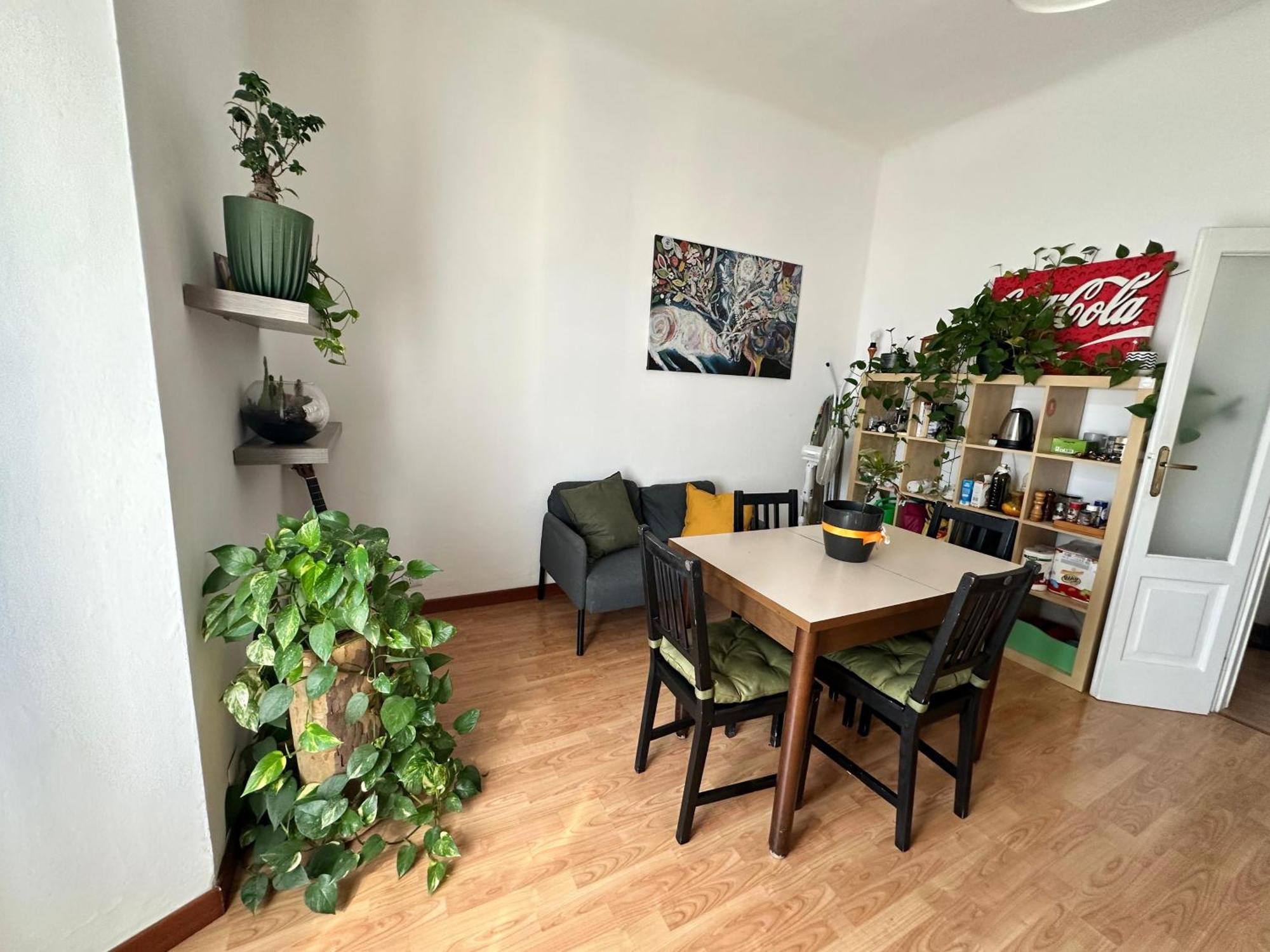 Molis'S House — Photos 2